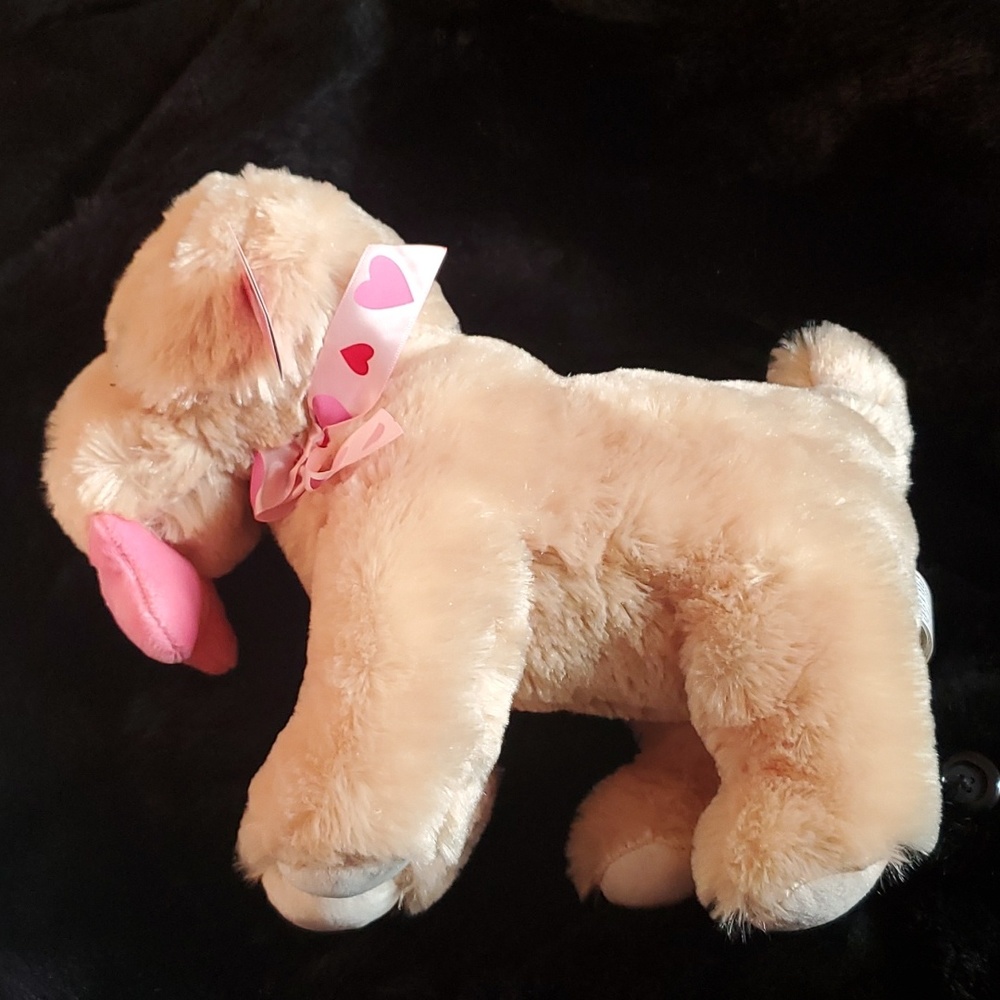 🐶 ULTRA CUTE PUP 🐶 - Picture 3 of 8